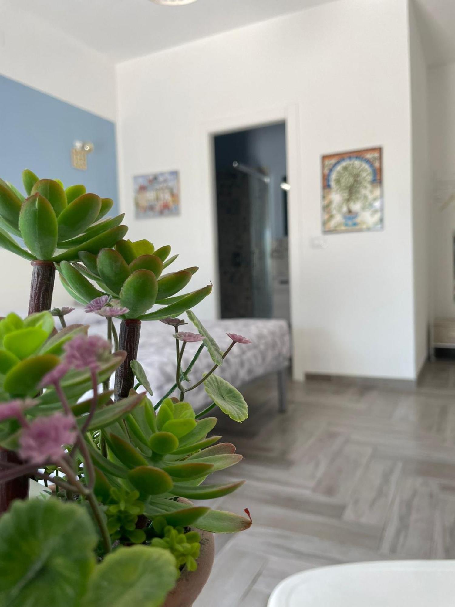 Casacecilia Relax Hotel Syracuse Exterior photo